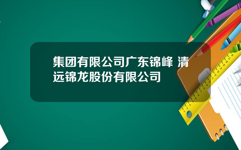 集团有限公司广东锦峰 清远锦龙股份有限公司